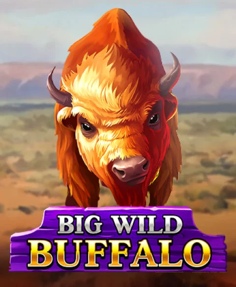 Play Big Wild Buffalo at Club Lounge Casino